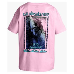 Quiksilver Men's Back Flash T-Shirt