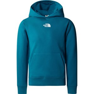 The North Face Youth Po Zumu Hoodie