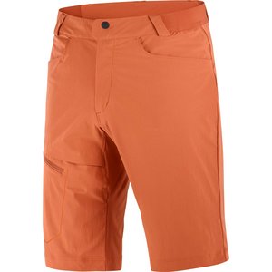 Salomon Men's Wayfarer Shorts