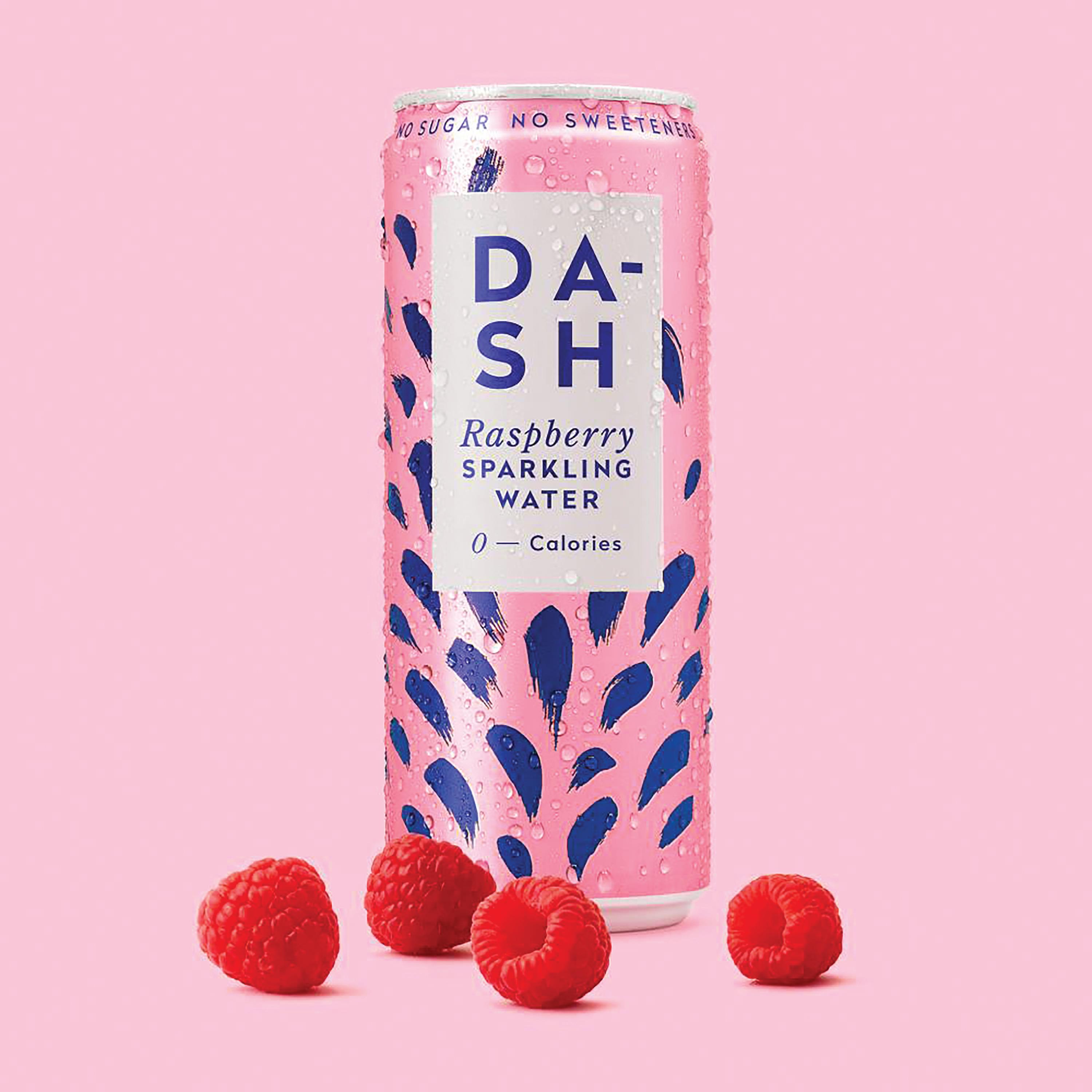Dash Raspberry Dash Water Sparkling Water Raspberry 330ml Can (Pack of 12) DBL005