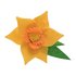 Picture of Felt Decoration Kit: Daffodil Brooch