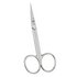 Picture of Scissors: Embroidery: Fine: Curved: Silver: 10cm