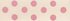 Picture of Spotty Grosgrain: 4m x 15mm: Natural/Pink