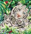Picture of Diamond Painting Kit: White Tiger & Cubs