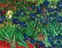 Picture of Diamond Painting Kit: Irises (Van Gogh) Cameo