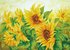 Picture of Diamond Painting Kit: Hazy Daze Sunflowers