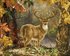 Picture of Diamond Painting Kit: Prince of the Forest