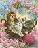 Picture of Diamond Painting Kit: Kitty Knits