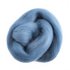 Picture of Natural Wool Roving: 10g: Light Blue