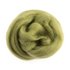Picture of Natural Wool Roving: 10g: Pistachio