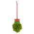Picture of Pom Pom Decoration Kit: Christmas: Sprout: Pack of 1