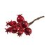 Picture of Pomegranates on Wire: 1 bunch of 12: Red