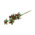 Picture of Berry Branch: 6 x 1 Stem: Red