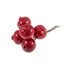 Picture of Pomegranates on Wire: Large: Red: 1 bunch of 5