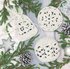 Picture of Crochet Kit: Christmas Tree Decorations: White