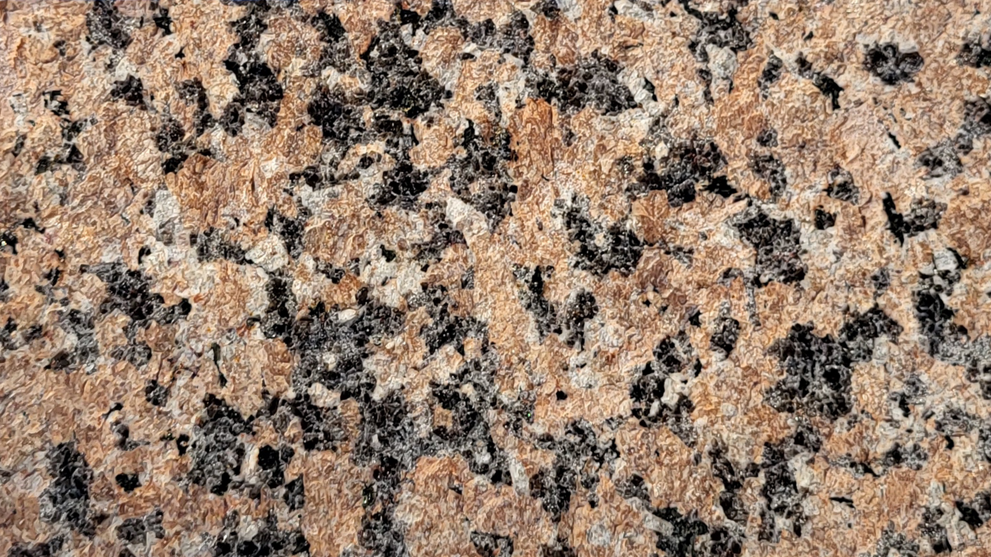 ROSE DE LA CLARTE GRANITE | BRACHOT