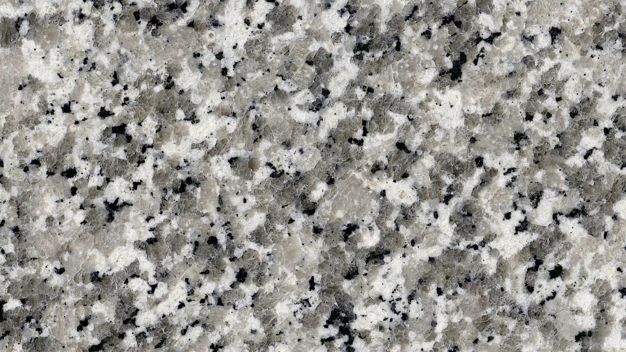 Brachot BIANCO SARDE F — Granit, Gris
