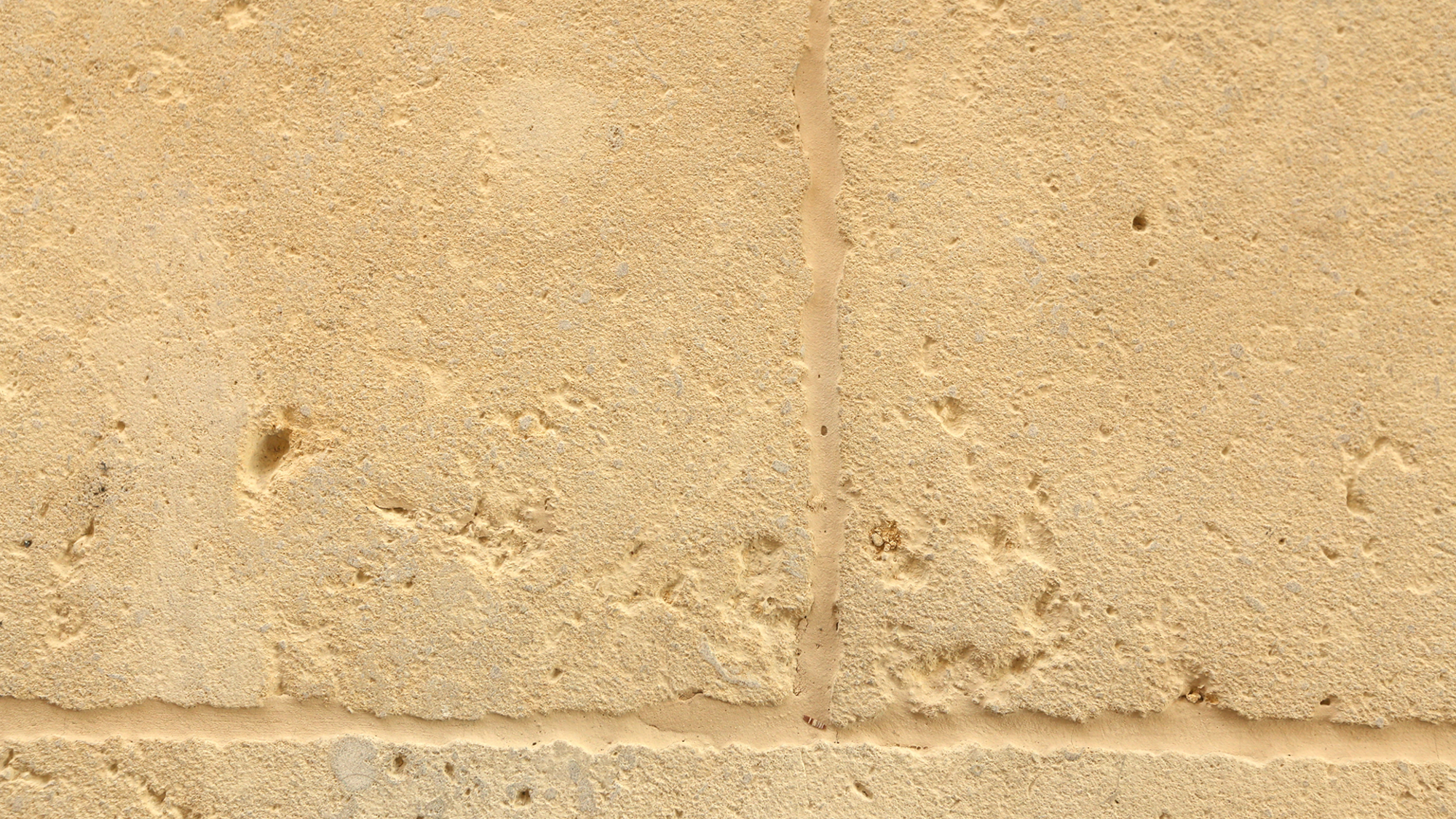 Brachot LANVIGNE — Pierre, Blanc