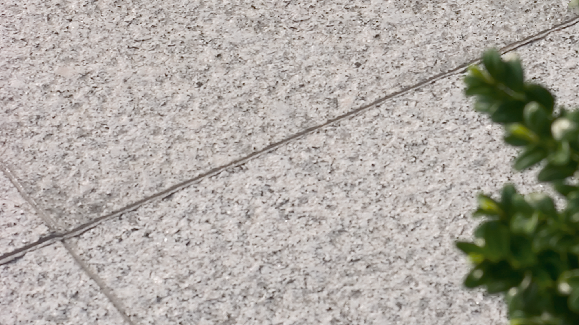 Brachot TALILA GREY GG — Granit, Blanc