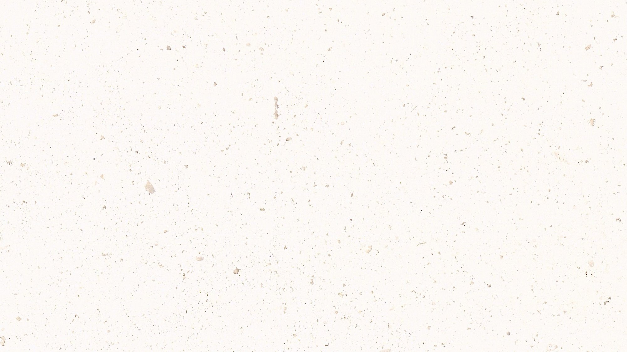 Brachot BLANCO PALOMA — Pierre, Beige