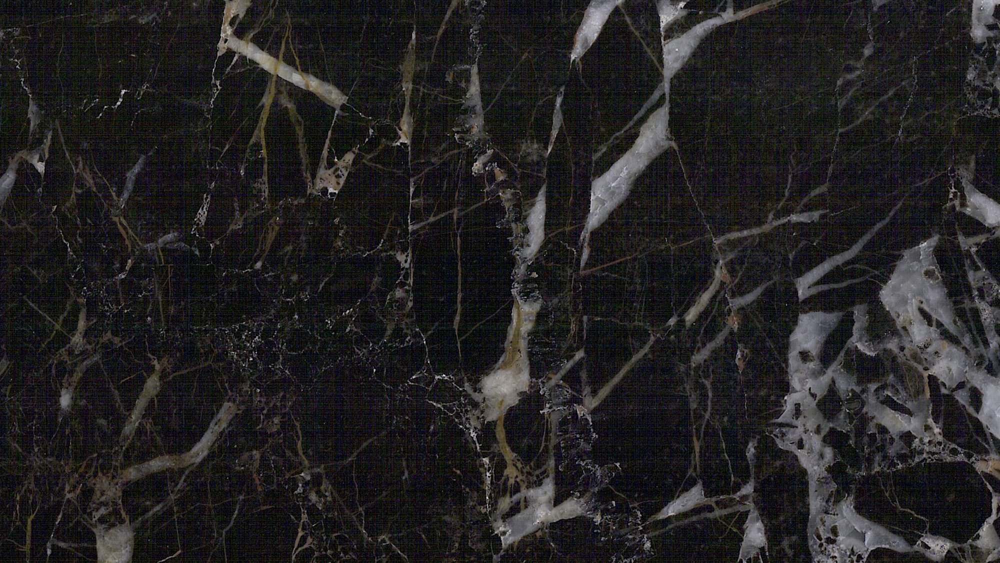 Brachot NOIR SAINT LAURENT — Marbre, Noir