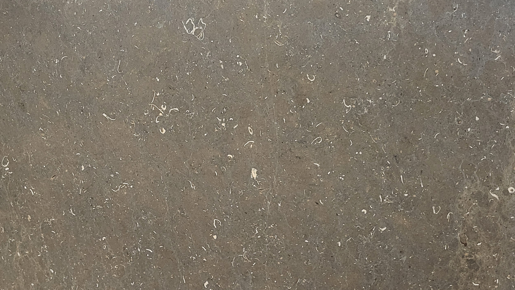 Brachot CALIZA SAN VINCENTE — Marbre, Gris