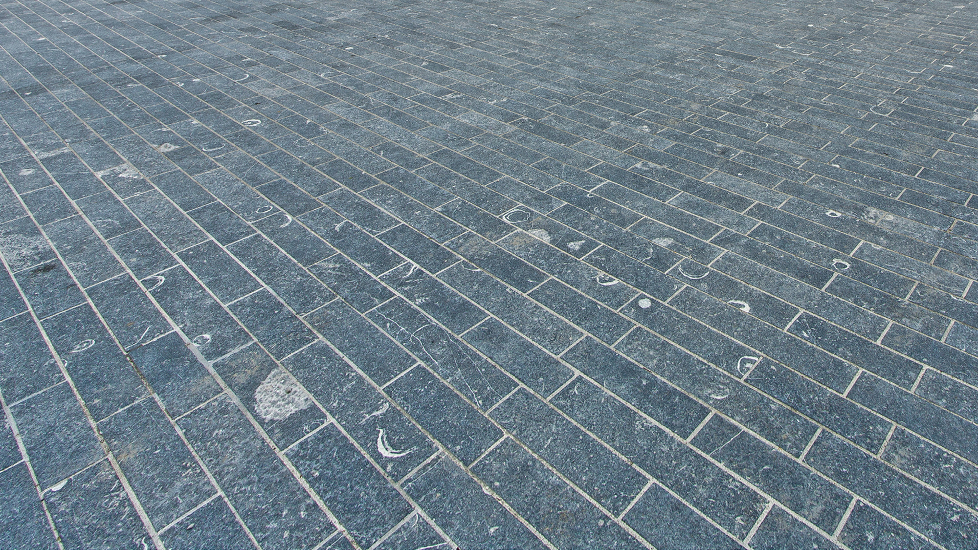 Brachot FOSSIL STONE — Pierre, Bleu