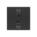 Накладка для 2-х зарядных устройств USB A цвета черный матовый Simon 100