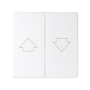 Touche poussoir double volets roulants blanc Simon 82 Detail