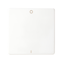 Tecla individual para interruptor bipolar con grabado I/O blanco Simon 82