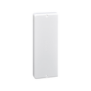 Accesorio tapa final para canal PVC 160x55mm