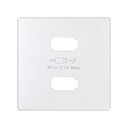 Plate for USB charger 2 connectors 5V DC 2.1 A Type A white Simon 82
