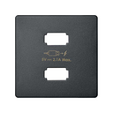 Placa para carregador USB 2 conetores 5 V DC 2,1 A tipo A grafite Simon 82