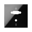 Cover for VGA connector + mini jack gloss black Simon 100