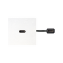 USB 3.0 type C female-to-female patch cord with trim plate white Simon 400