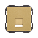 Flat voice and data cover with dust shutter for 1 RJ45 connector gold Simon 270