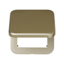 Hinged cover with safety device for German socket outlet champagne Simon 31
