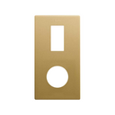 Minimal aesthetic vertical frame for 1 element and 1 CLEAN Schuko socket outlet gold Simon 270