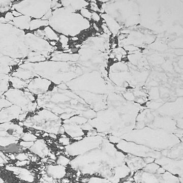 Arabieto Bianco Quartz worktop