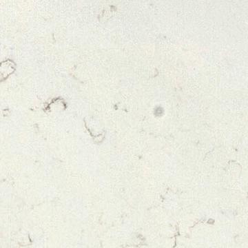 Ariel Silestone worktop