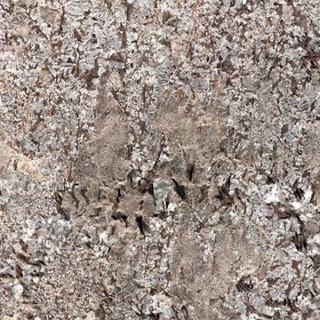 Glacial Blue (Sensa) Granite & Quartzite worktop