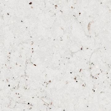 Lime Delight Silestone worktop