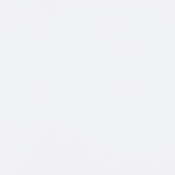 Miami White Silestone worktop