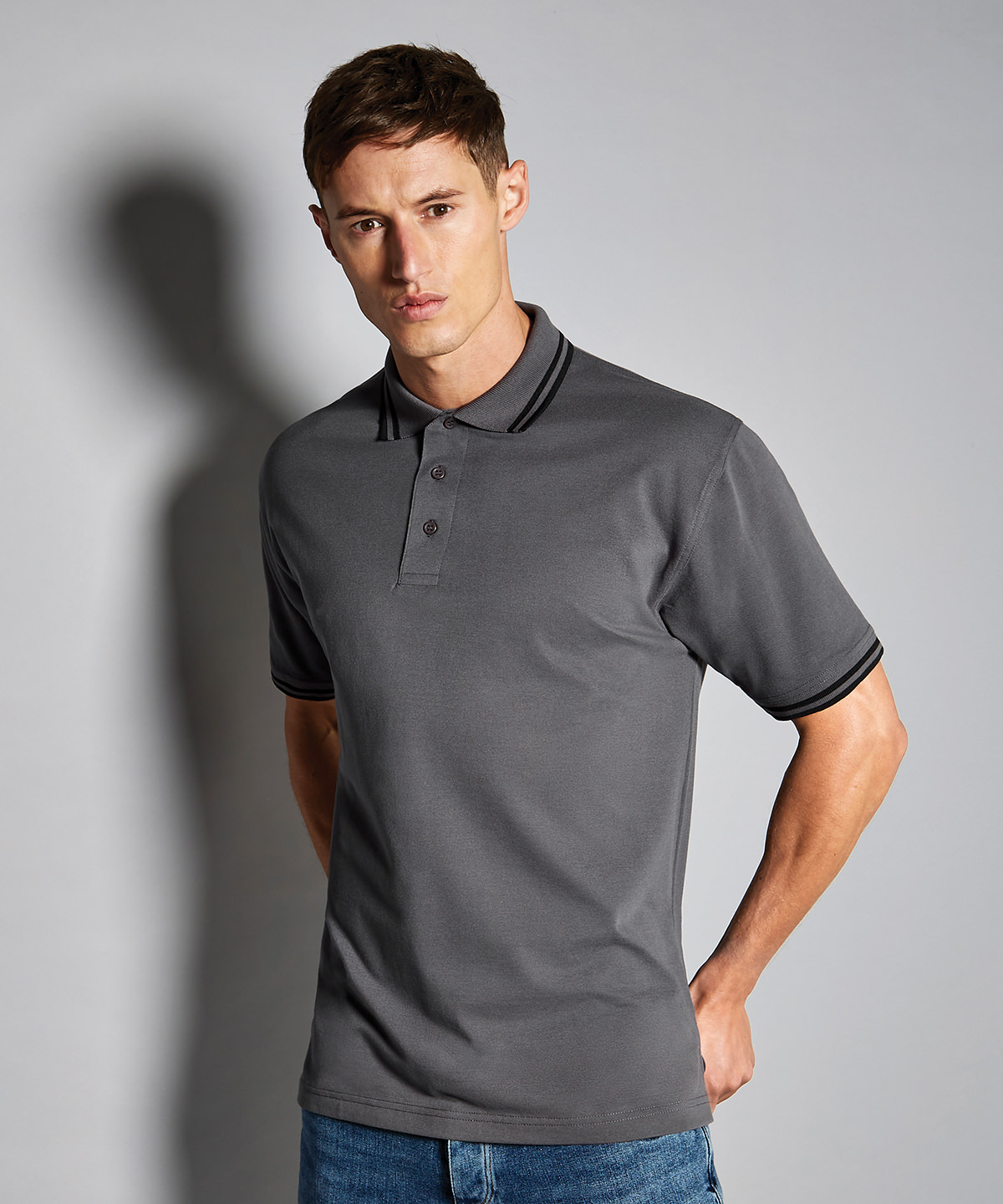 Picture of Tipped collar polo (classic fit)