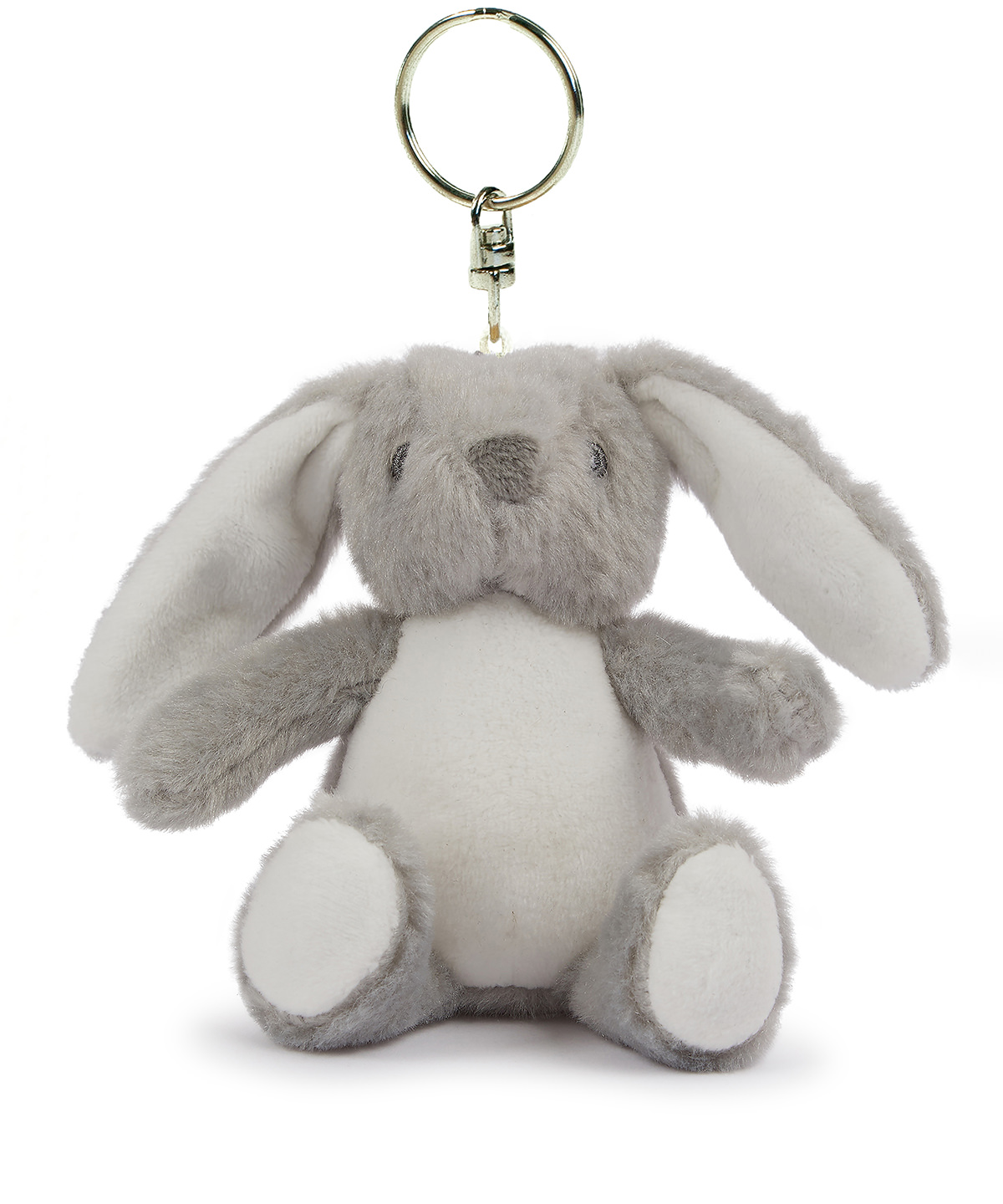 Binx bear image 2