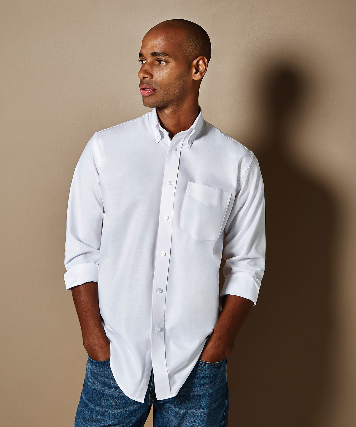 Picture of Workplace Oxford shirt long-sleeved (classic fit)