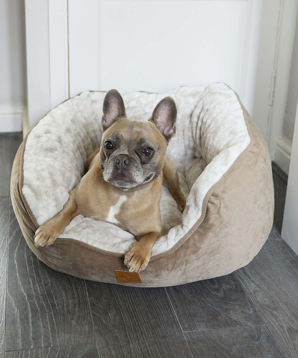 Dog butterfly bed Dog butterfly bed