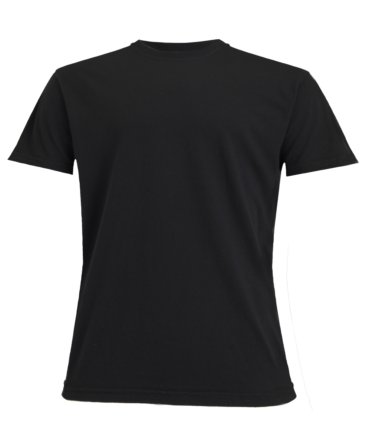 Heavyweight adult t-shirt, front
