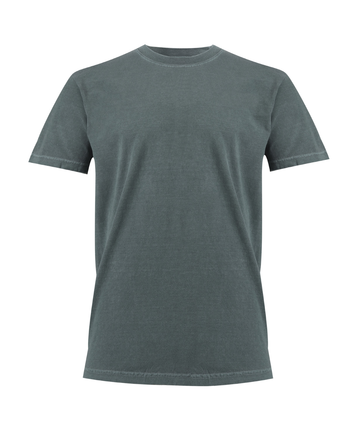 Heavyweight adult t-shirt, front
