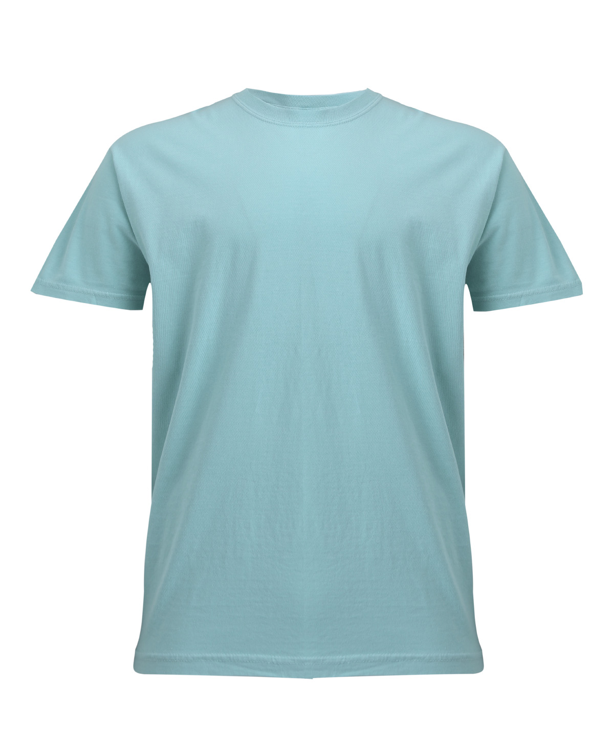 Heavyweight adult t-shirt, front